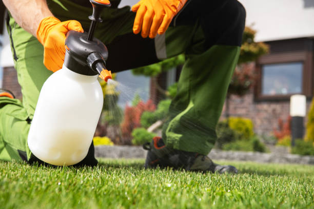 Best Pest Control Near Me  in North Vacherie, LA