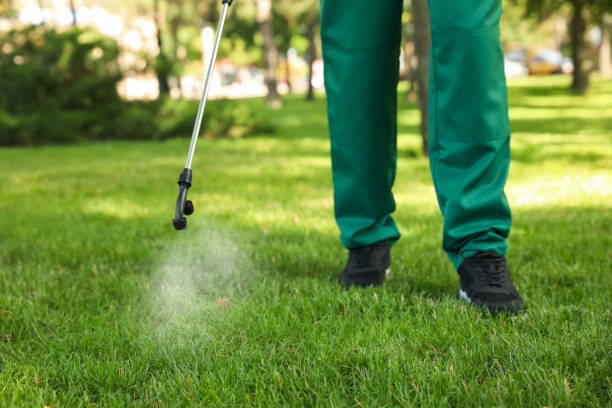 Best Insect Control  in North Vacherie, LA