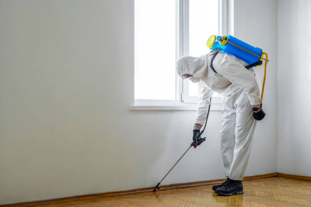 Best Pest Prevention Services  in North Vacherie, LA