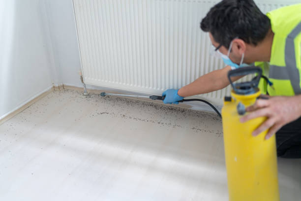 Best Wasp Removal Services  in North Vacherie, LA